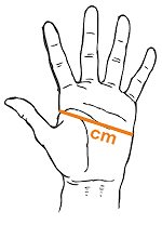 Segelhandschuhe SEGELSERVICE.COM CLASSIC PRO (lange Finger) 
